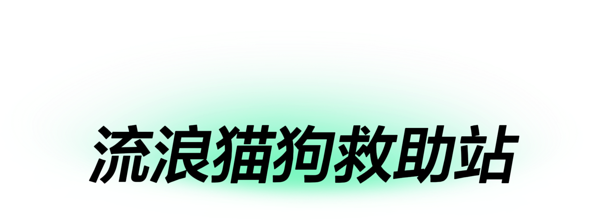 流浪猫狗救助站